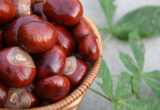 Festa delle Castagne e dei Ricordi 2014 1333 0 Festa delle Castagne e dei Ricordi 2014